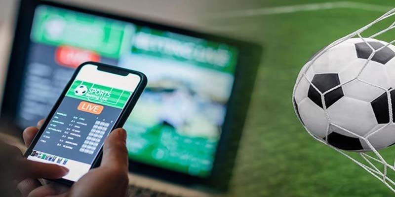 Thực trạng cá độ bóng đá hiện nay