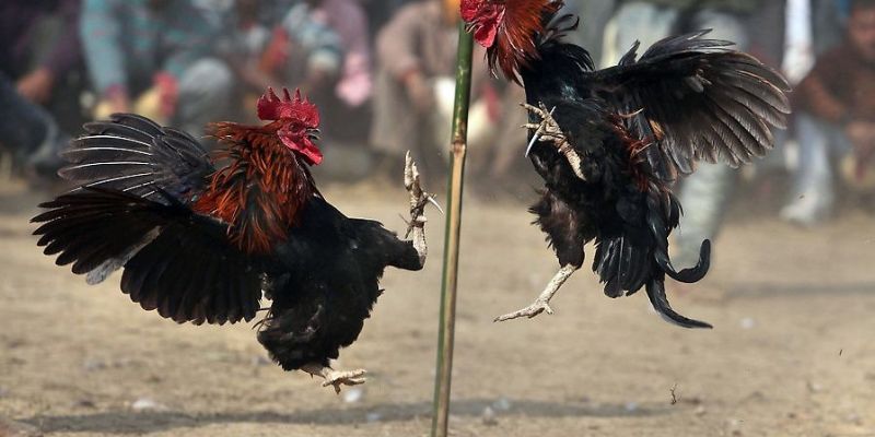 Phân tích những yếu tố tác động