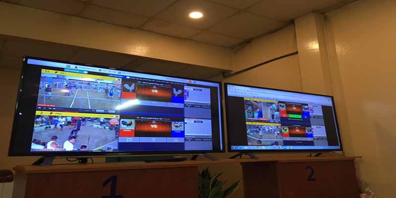 Các bước tham gia đá gà trực tuyến